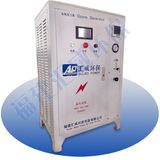 50g/H High Effiency Ozone Generator for Dotp Color Removal