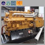 Lhbmg80 Biomass Generator Set, Biomass Genset with CE/ISO Approved