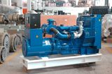 Diesel Generator Powered By Lovol Engine (FLG62)