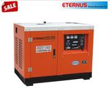 10kw 10kVA Alternator Generator Diesel Generator (SHT15D)