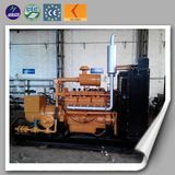 Electric Power Natural Gas Generator Price