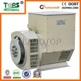 Tops AC Single Bearing Alternator