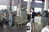 500kVA/400kw Brushless Self-Exciting Synchronous AC Alternator/Dynamo/Electric Generator