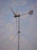 Wind Turbine 1000W Permanent Magnet