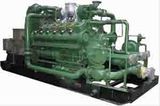 500kw 1000kw 10mw 50mw 100mw Coal Power Plant/ Biomass Power/ Gas Turbines Generator (LYBG1000)