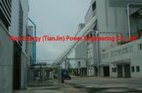 Biomass Power Plant