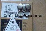 Original Cummins Parts Plug 203933/205401, Competitive Price!