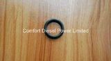 3033915 Seal O Ring for Cummins Kta38 Engine