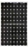 255w Monocrystalline Solar Module (SNM-M255(96))