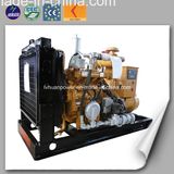 Small Biogas Methane Power Plant Applied Biogas Generator