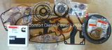 4089391 Lower Engine Gasket for Cummins Engine Parts