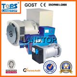 LANDTOP FUAN CITY Manufacture Alternators