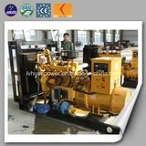 CE Approve Power Biogas Small Generator