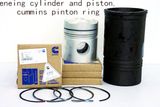 Cummins Piston Cummmins Parts 3017348