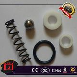 Oil Seal Spring