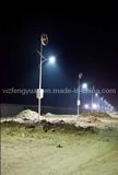 Wind Solar 80W LED Street Lighting