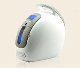 Home Car Oxygen Concentrator