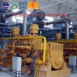 10kw to 500kw Hardwood Gas Biomass Power Generator Set