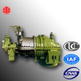 Biomass Condensing Steam Turbine (N2)