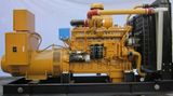 Diesel Generator Set/Industrial Generator Set