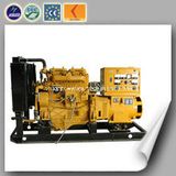 AC Three Phase Output Type Power Generation Plant Natural Gas Generator