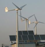 Wind Turbine With Great Power 1000W