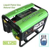 LPG/NG Gas Generator / Electrical Machine