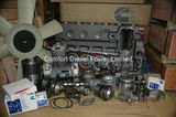 Cummins Engine Parts Bush 207226/207344