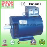 St/Stc Single/Three-Phase AC Synchronous Alternator Generator