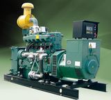 80kVA Gas Generator