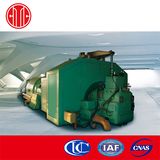 Chinese Biogas Back Pressure Steam Supplement Turbine Plant