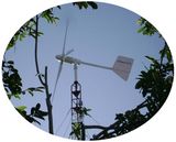 Wind Turbine Generator-2kw Wind Turbine (ZH)