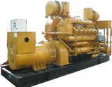 Natural Gas Generator