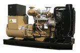 Prime 38kva(30kw) Diesel Generating Set With Cummins (JT-38C)