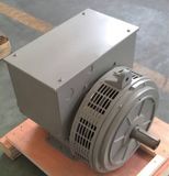 Diesel Engine Alternator 24 Months Warranty Double Bearing Diesel Alternator 16kVA 415V 50Hz (FD1D2-4)