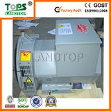 LANDTOP Free Freight Brushless Generator Alternator 80kVA