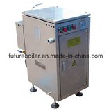 European Standard Electric Steam Generator (LDR 3-60kW)