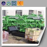 Straws Gas Power Biomass Generator in Electricity Generation