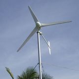 DC24V Pmg 500W Small Wind Generator (H2.7-500W)