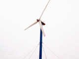 Wind Turbine Generator (FD5000W)