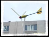 Wind Turbine Generator (500W)