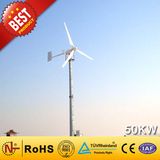 50kw Wind Generator From China Manufacturer (Wind Turbine Generator 90W-300KW)