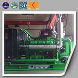 Hot Sale Biomass Power Generator (LHBMG)