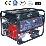 Stable Easy Start Gasoline Generator (BH8000DX)