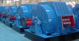 Diesel Generator/Motor (TFW. TK. TDMK. YR)