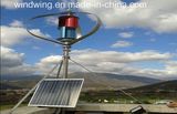 1000W Maglev Wind Generator and Solar Panel for Home Use