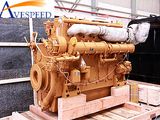 Avespeed Series 1000kw to 4000kw Generator Power Plant Powered with Hfo and Diesel Fuel