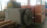 Permanent Magnet Type Generator Alternators with Competitive Price