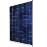 Solar Panel 220w Poly (NES60-6-220P)
