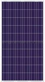 240W Polycrystalline Solar (YHM240-36P)